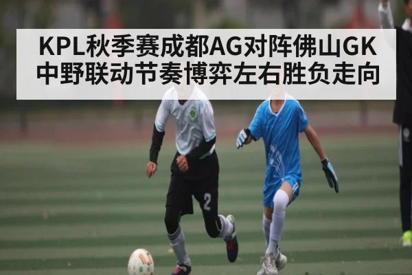KPL秋季赛成都AG对阵佛山GK 中野联动节奏博弈左右胜负走向